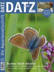 Datz Magazin Abo | Magazin Abo Schweiz