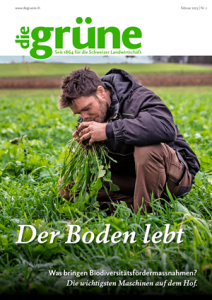 Die grüne Magazin