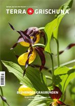 Terra Grischuna Magazin